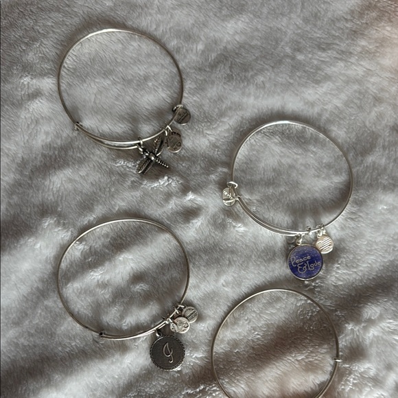 Alex and Ani Silver Minimalist Charm Bracelets Set - Picture 3 of 8
